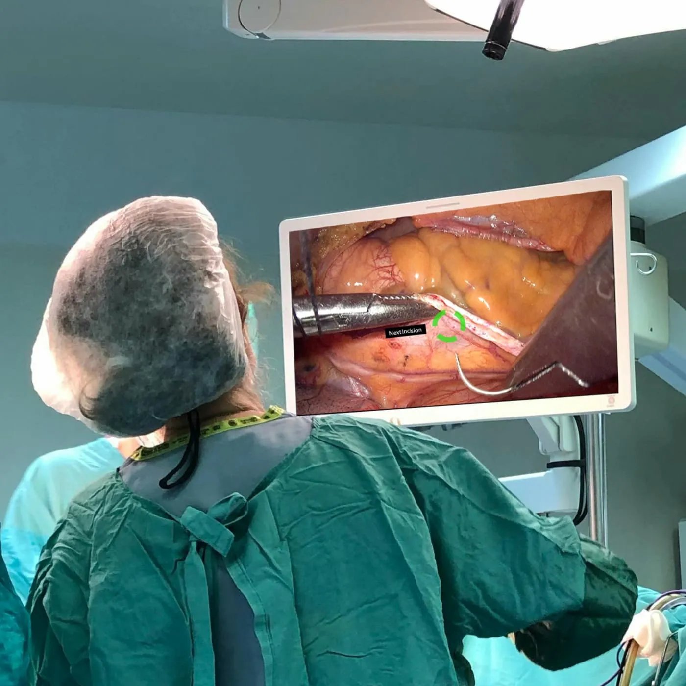 Anatomy-Guided Navigation